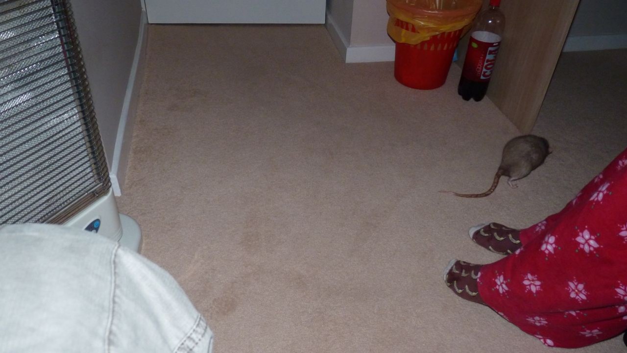 P1000867.JPG