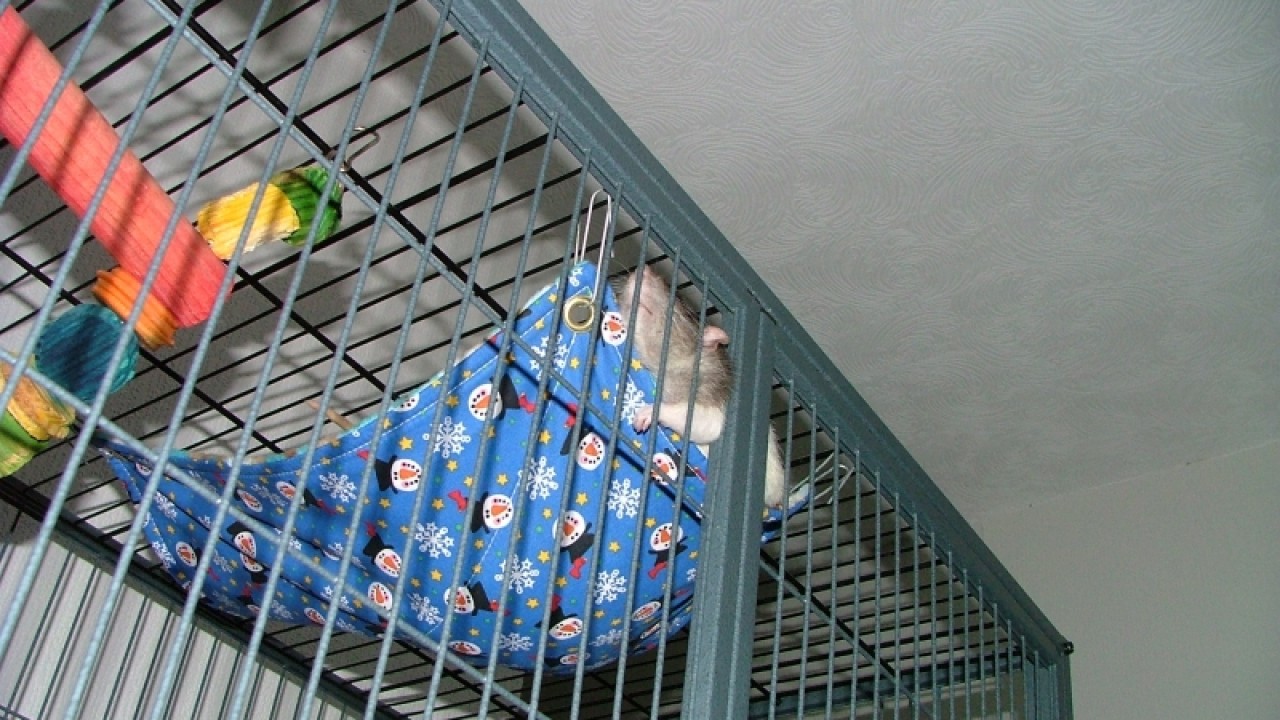 dscf6755.jpg