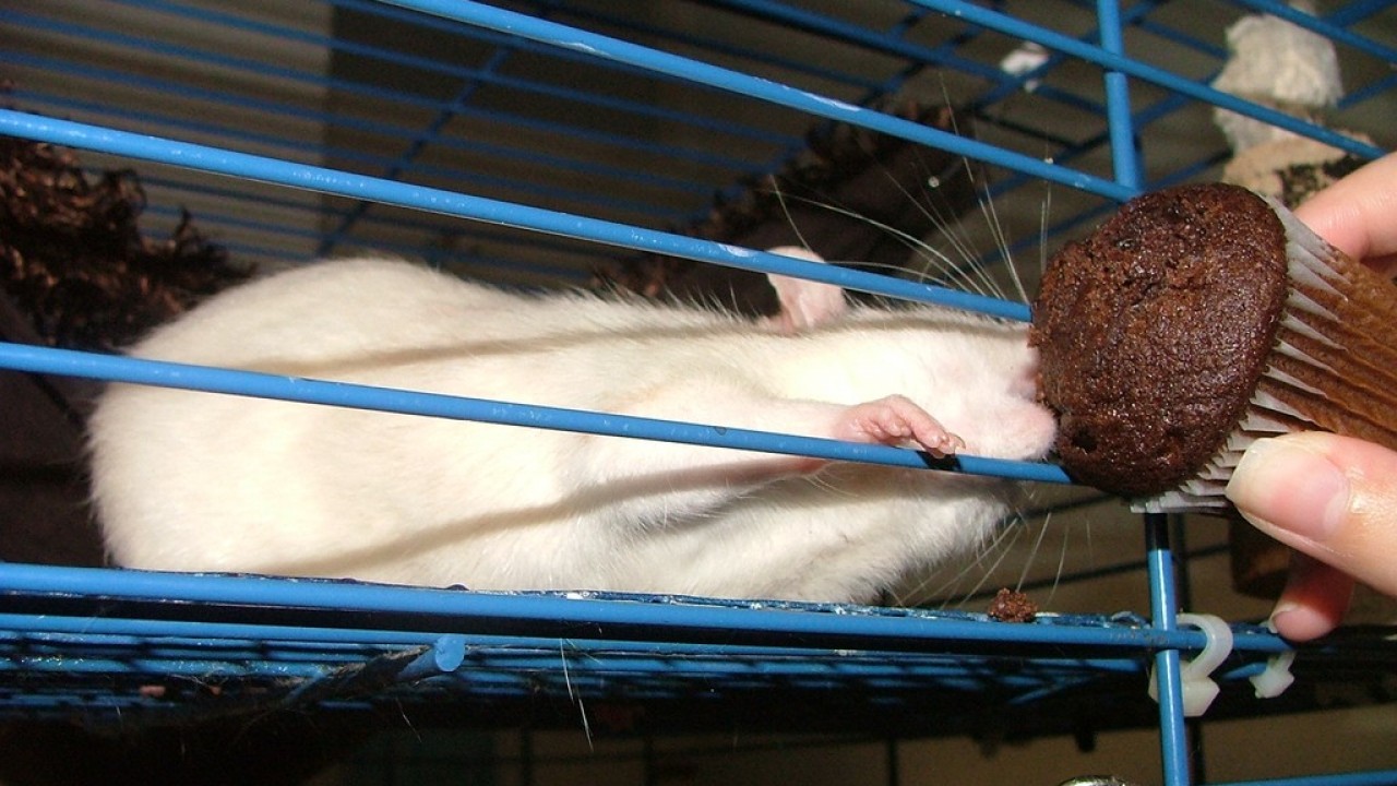 DSCF4269.JPG