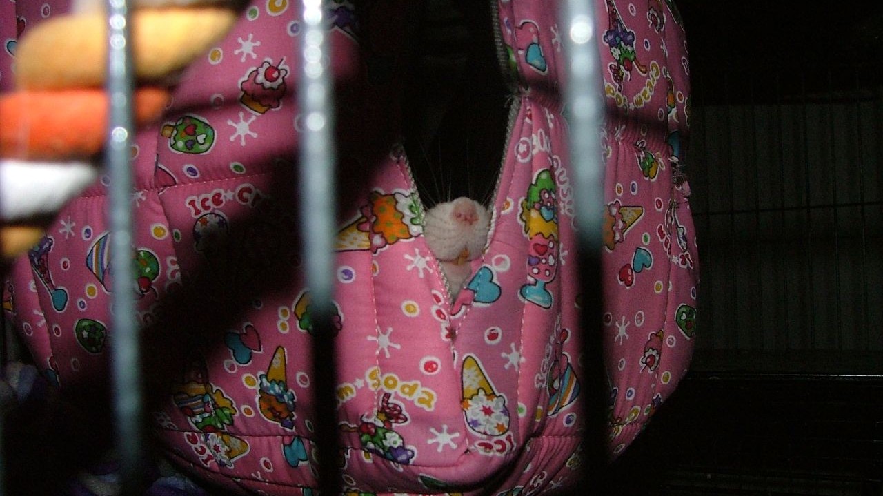DSCF5683.JPG