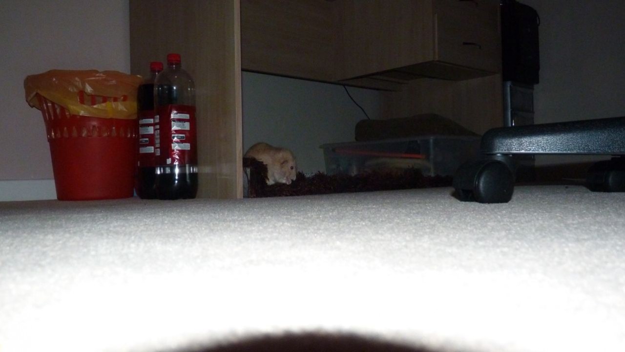 P1000769.JPG