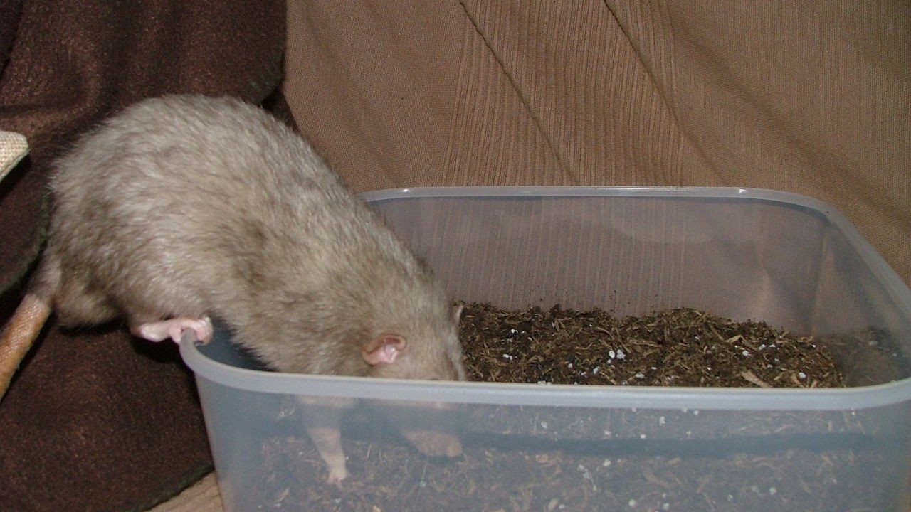 DSCF6724.JPG
