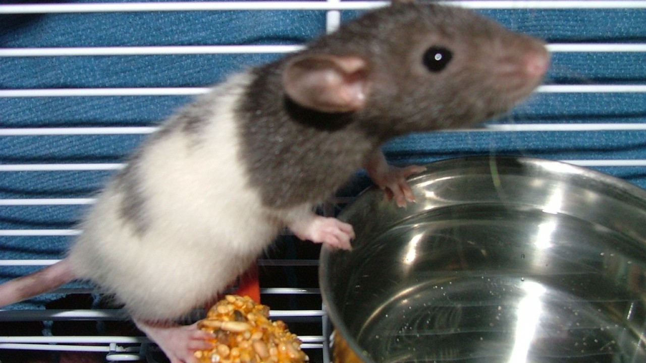 dscf3669.jpg
