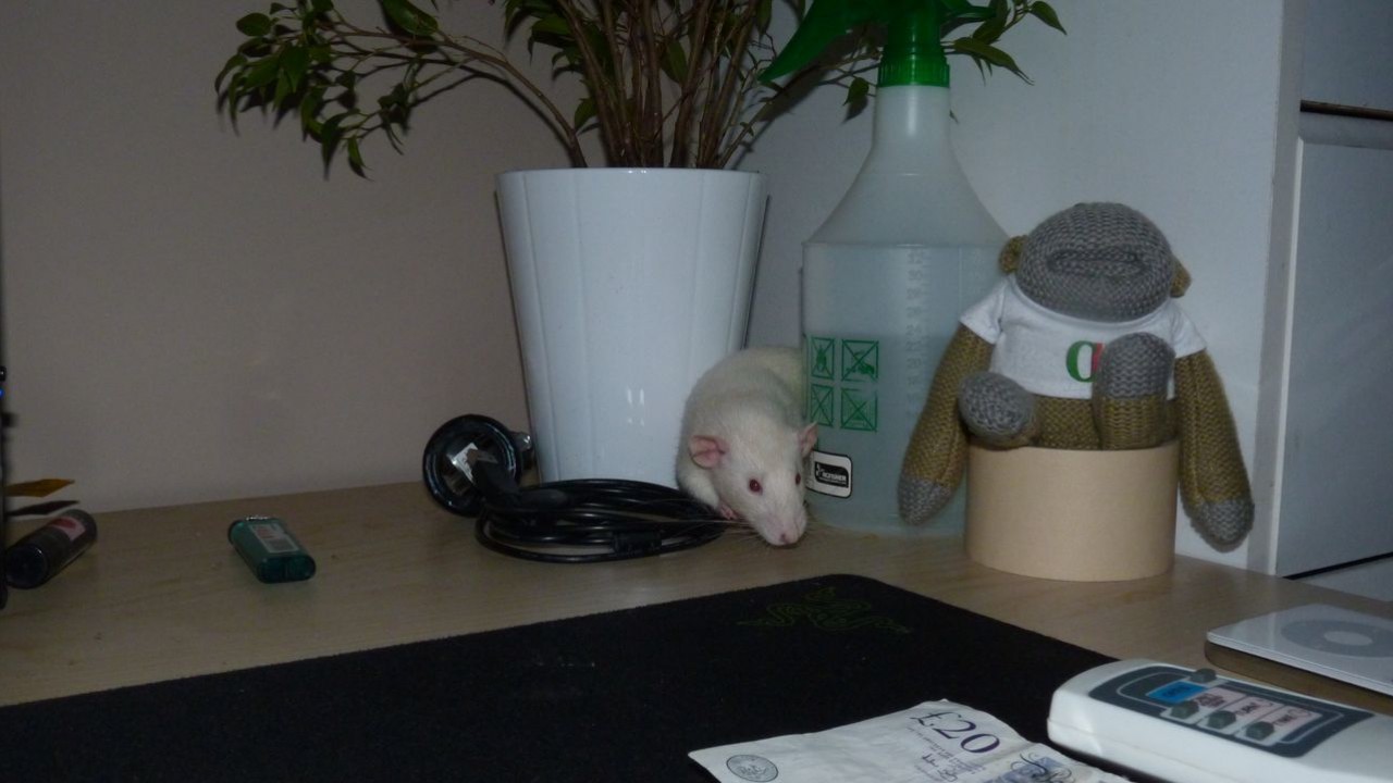 P1000863.JPG