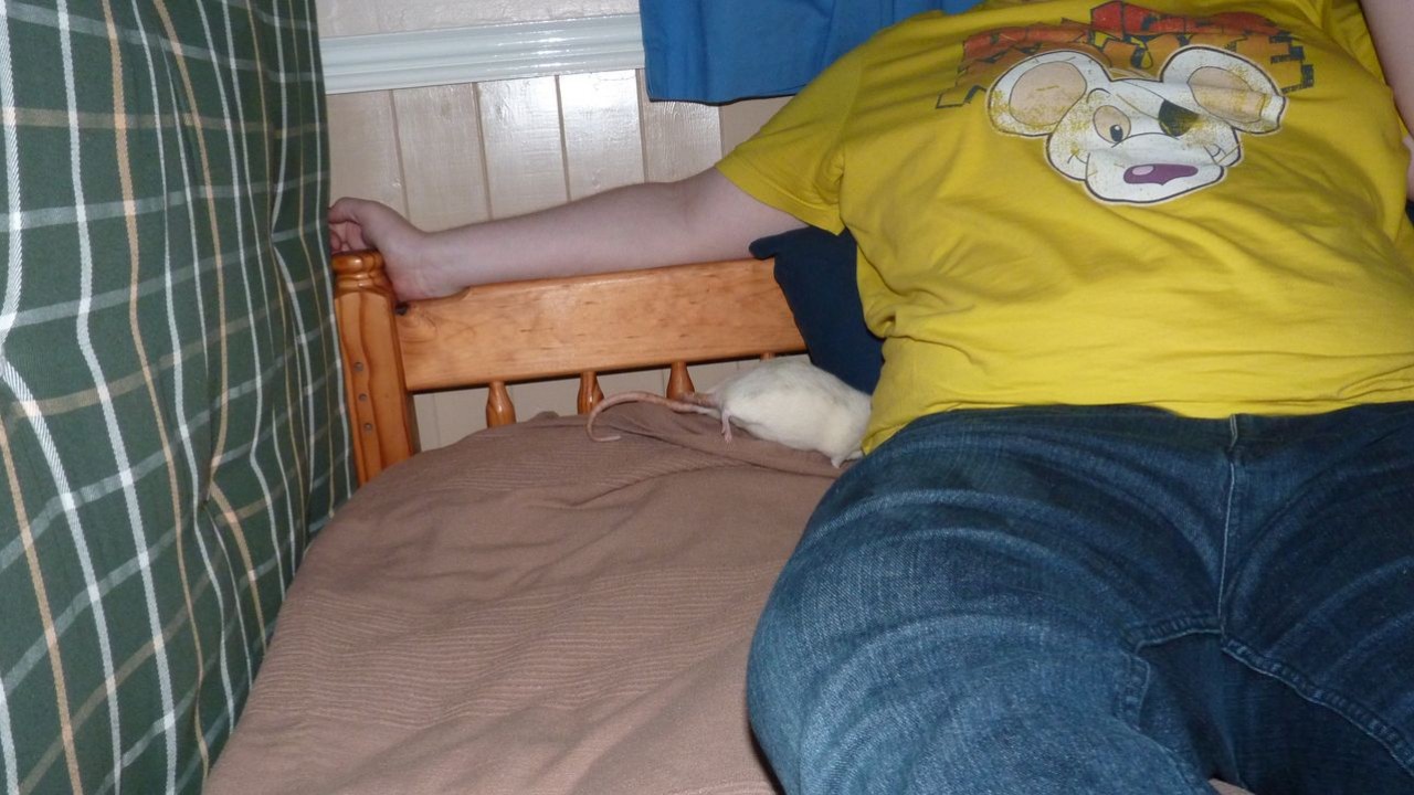 P1000403.JPG
