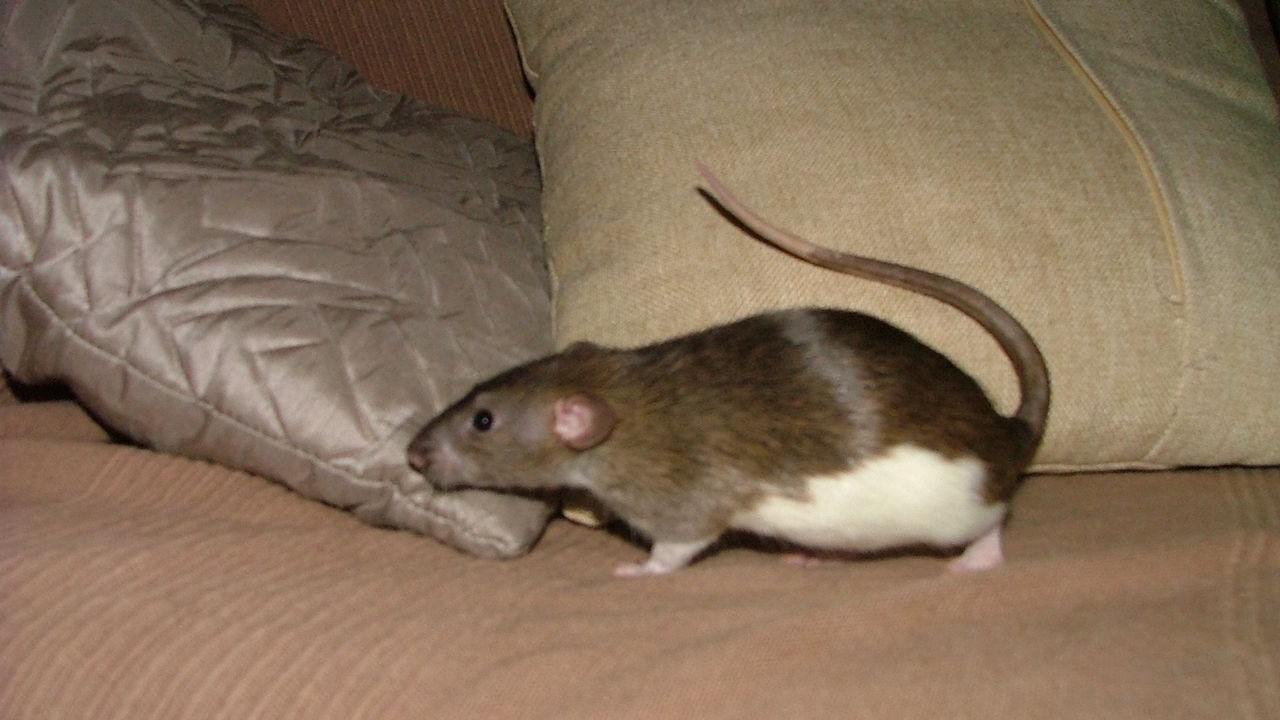 DSCF6770.JPG