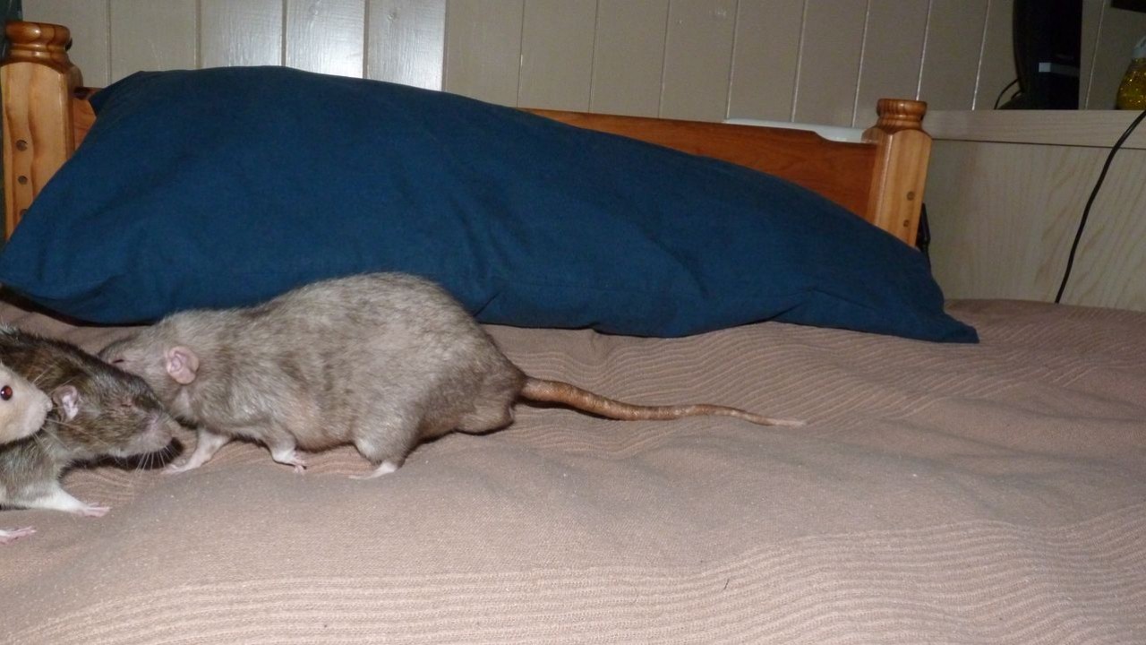 P1000378.JPG