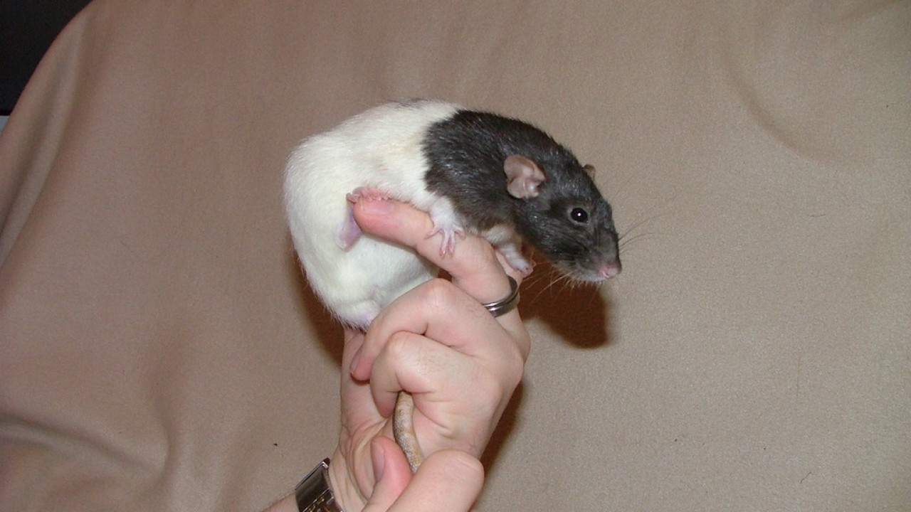 DSCF4299.JPG