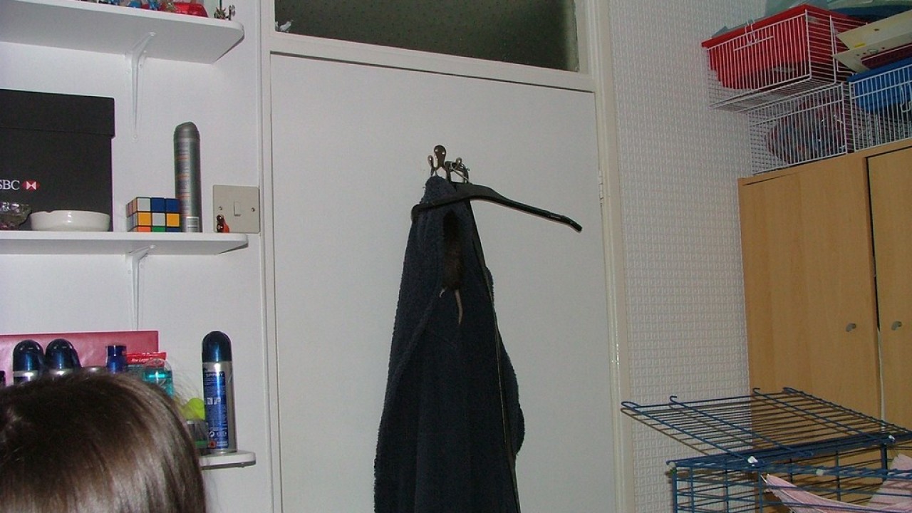 DSCF3958.JPG