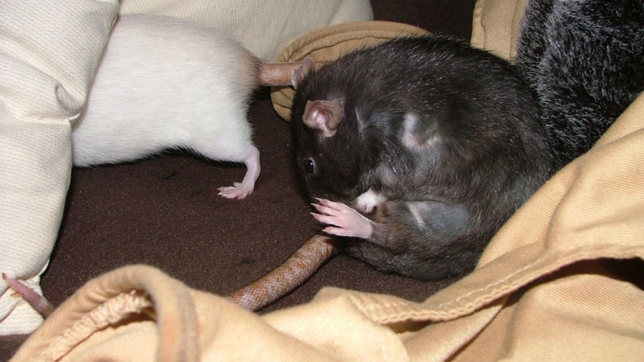 DSCF5562.JPG