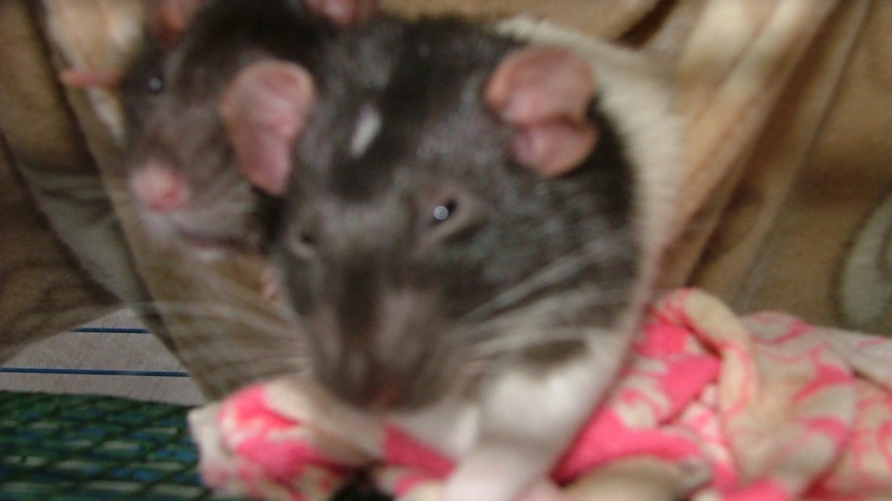 DSCF4022.JPG