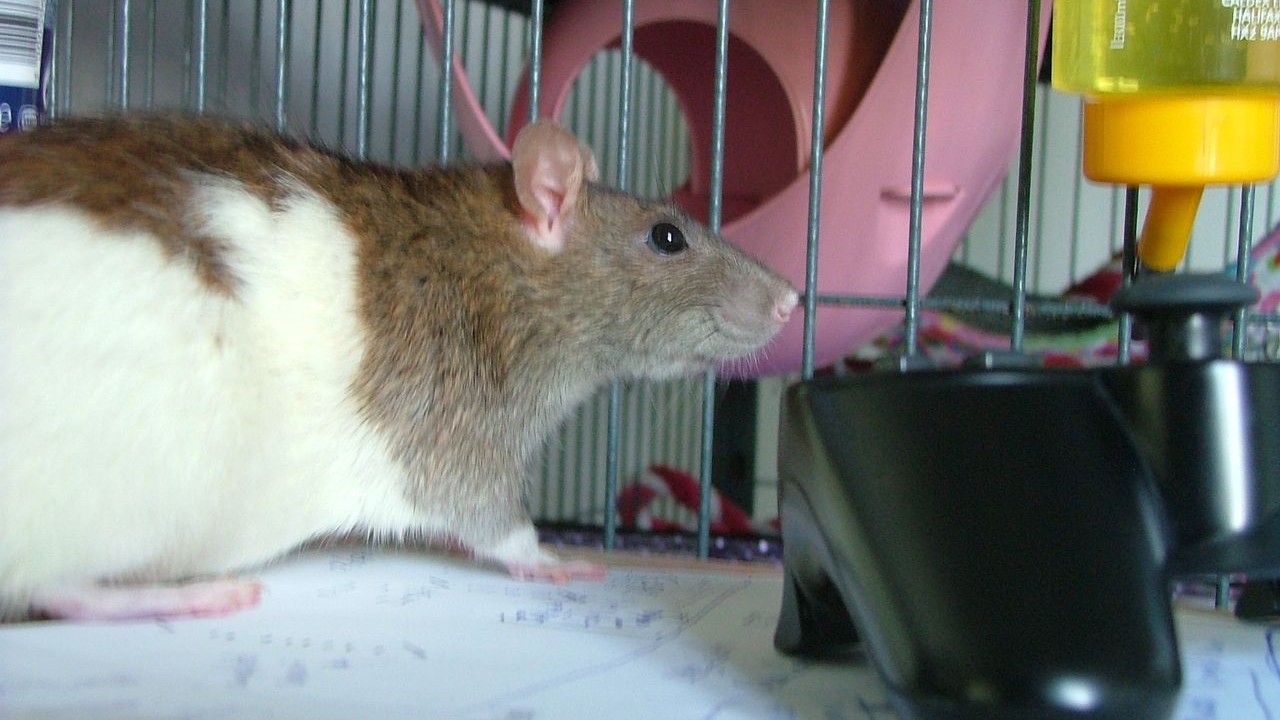 DSCF6626.JPG