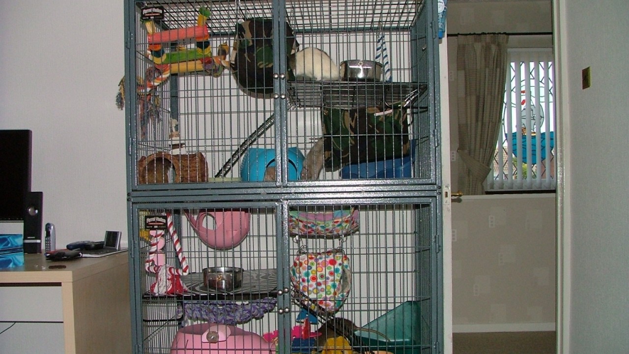 dscf6322.jpg