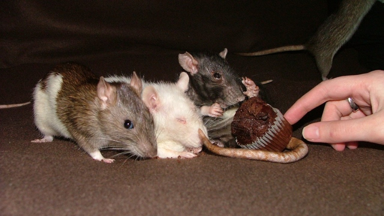 dscf6024.jpg