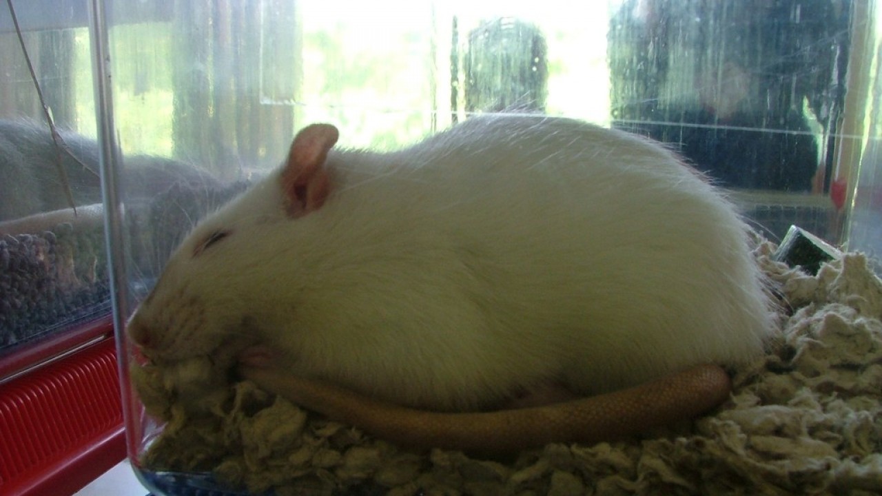 DSCF4042.JPG