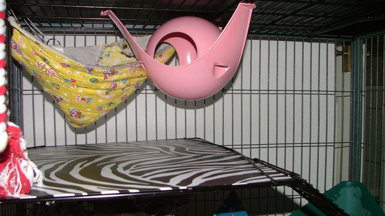 dscf6302.jpg