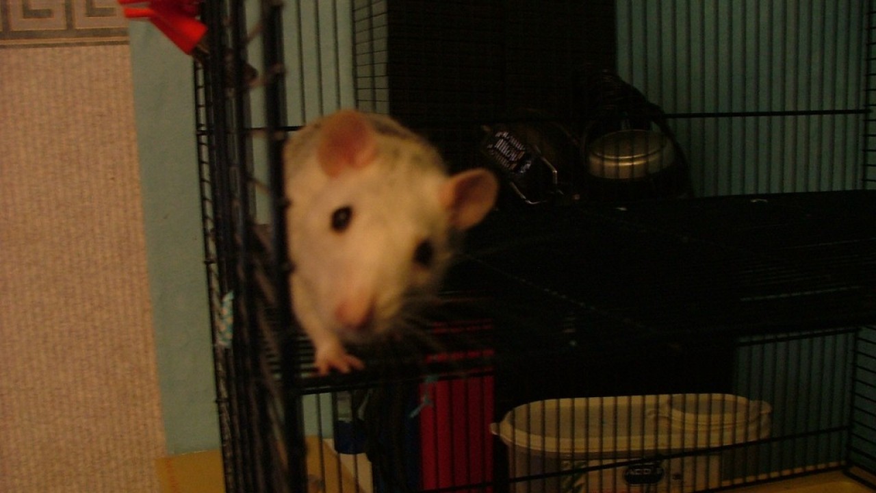 DSCF1841.JPG