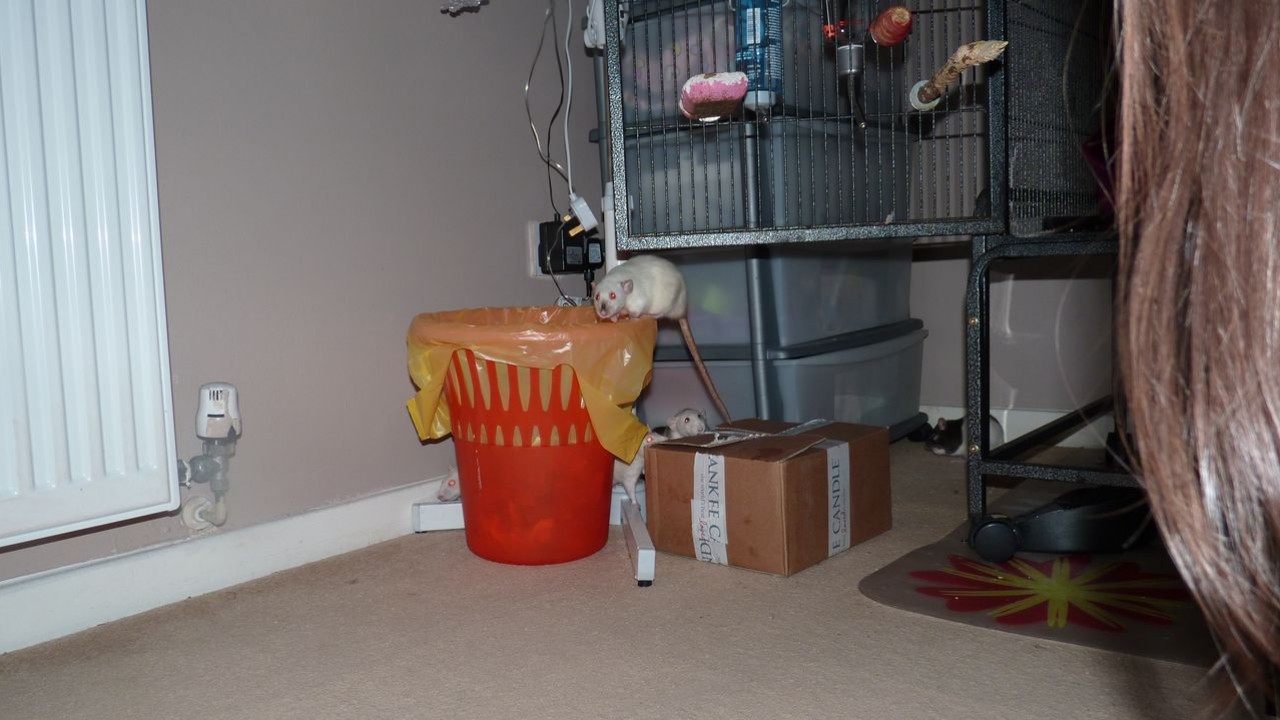 P1070177.JPG