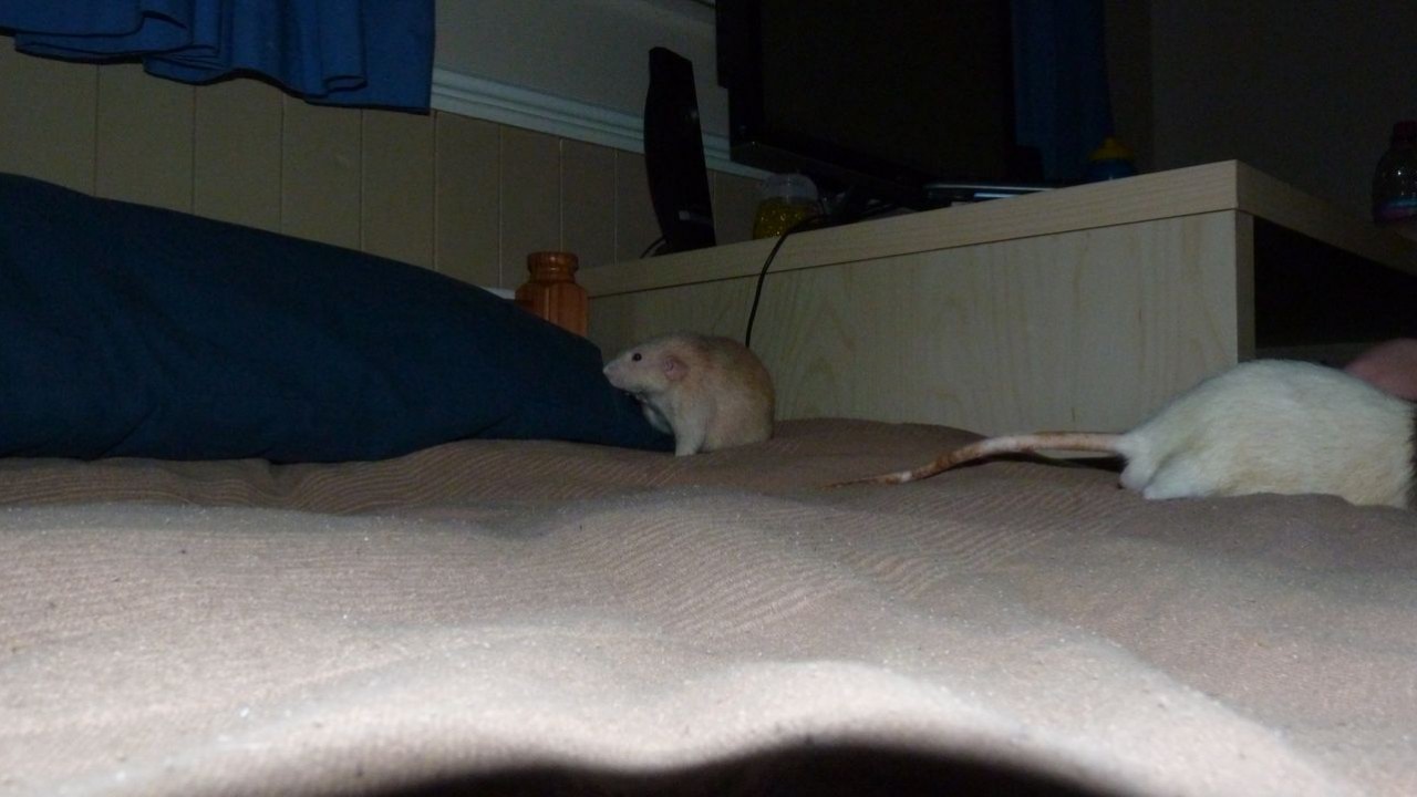 P1000371.JPG