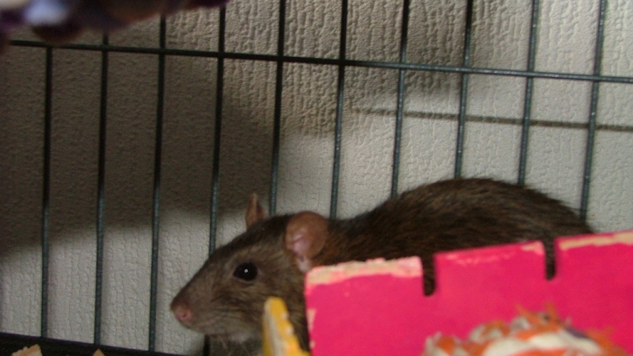 dscf6352.jpg