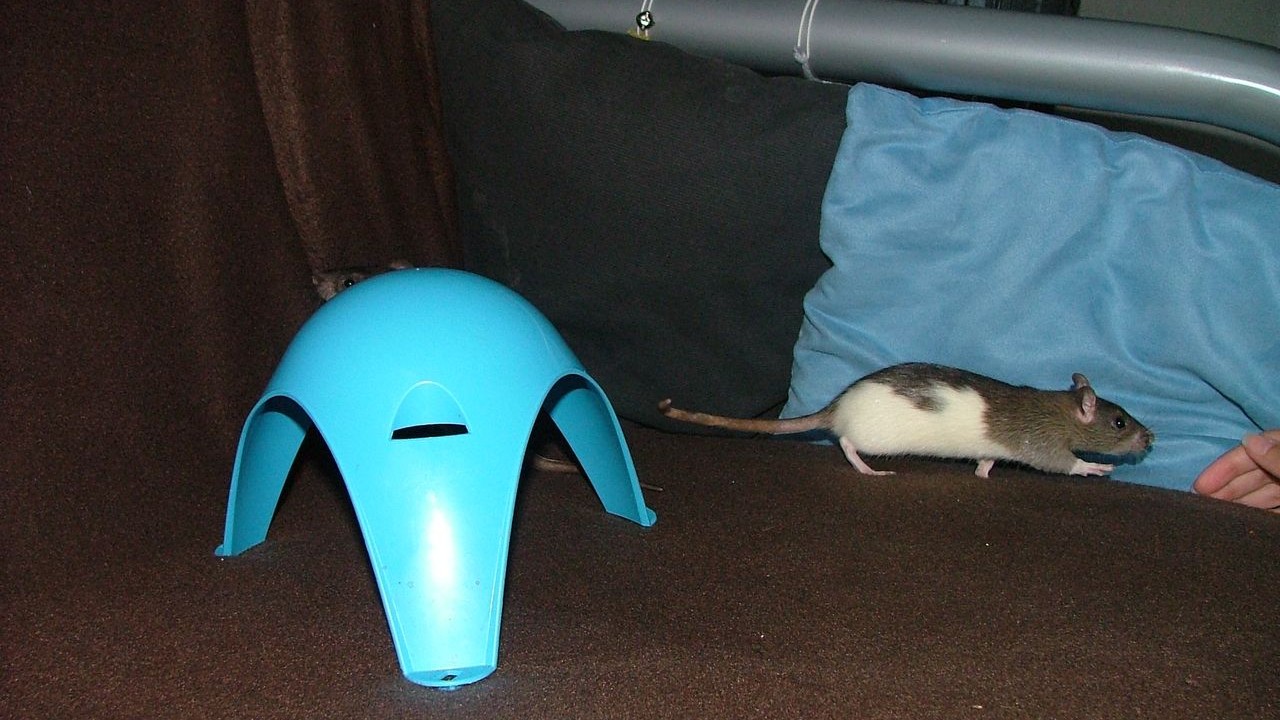 DSCF5476.JPG