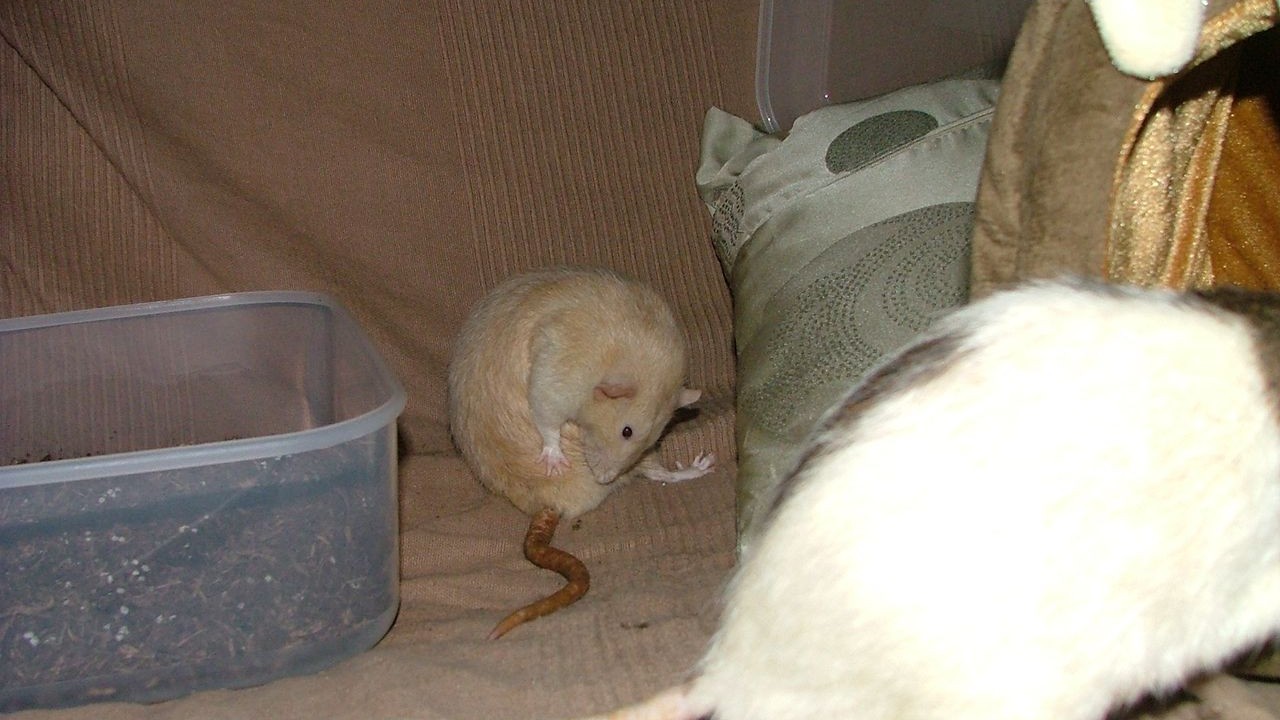 DSCF6728.JPG