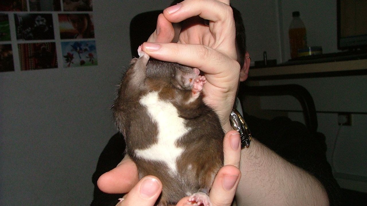 DSCF3890.JPG