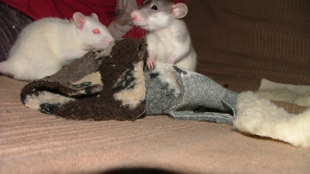 DSCF6643.JPG