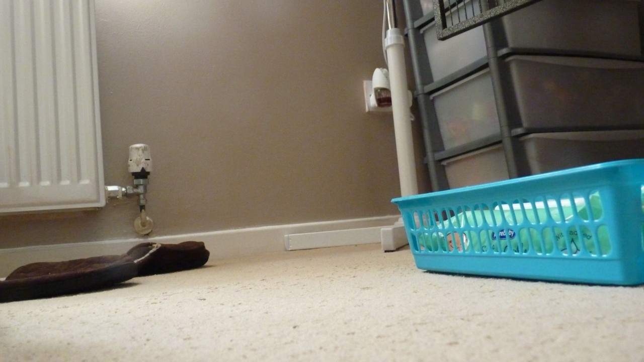 P1060866.JPG