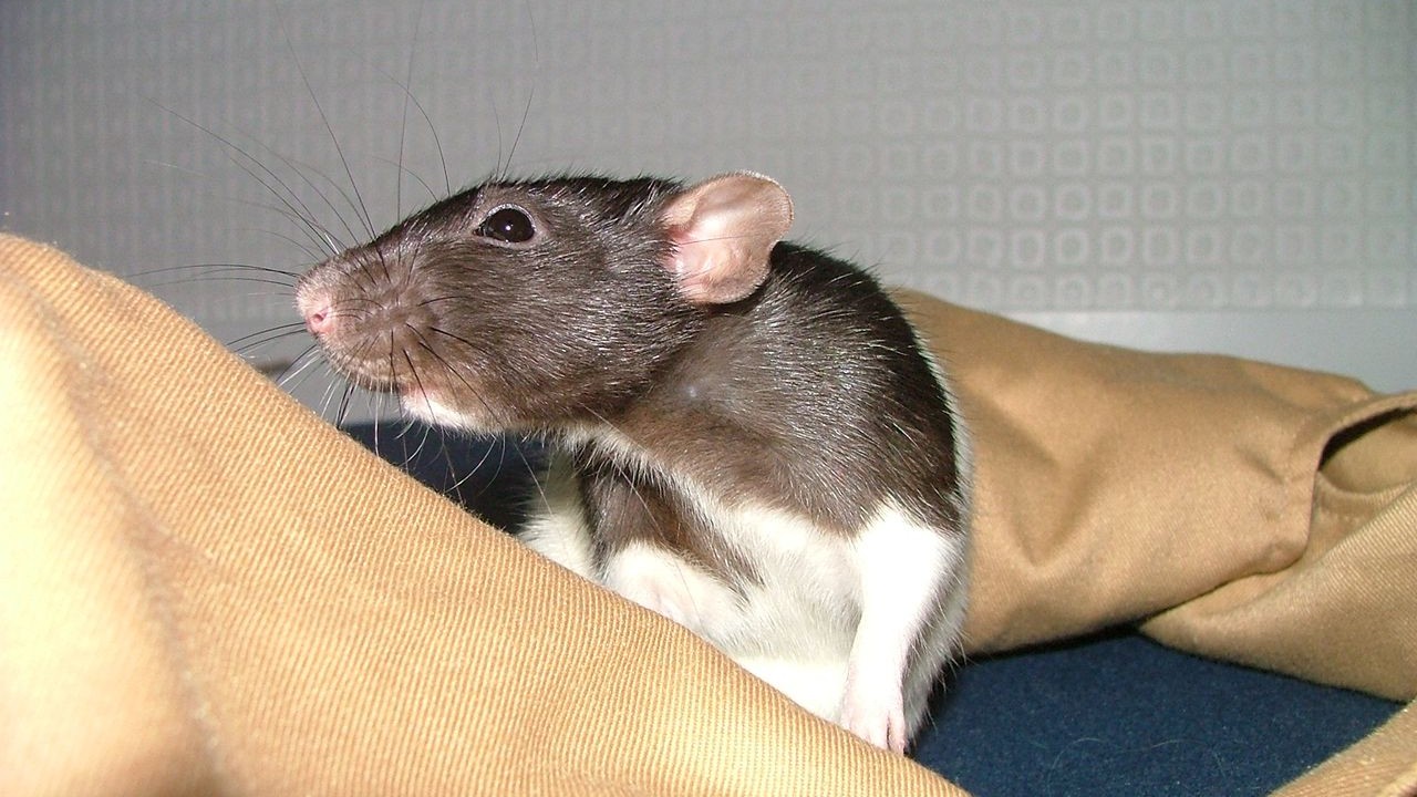 DSCF3948.JPG