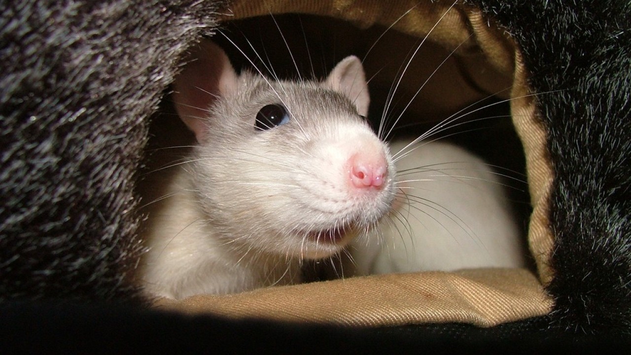 DSCF3952.JPG