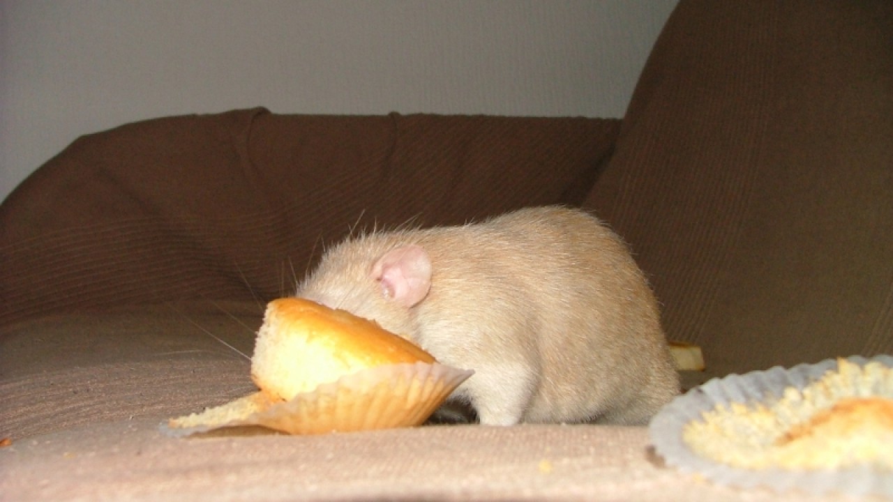 dscf6904.jpg