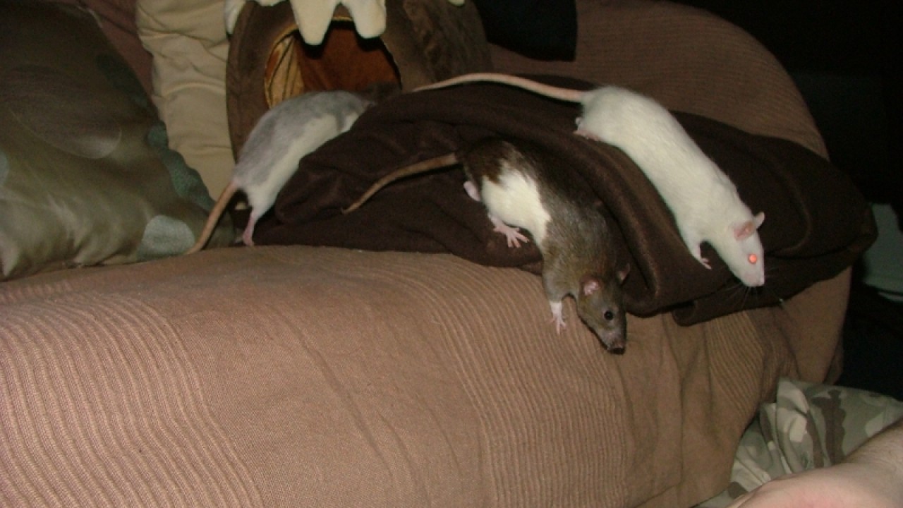 dscf6777.jpg