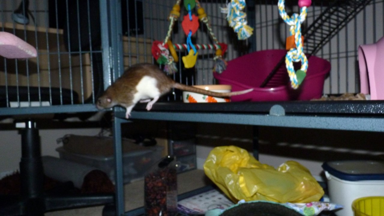 p1000961.jpg