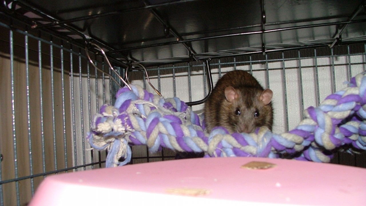 dscf6304.jpg