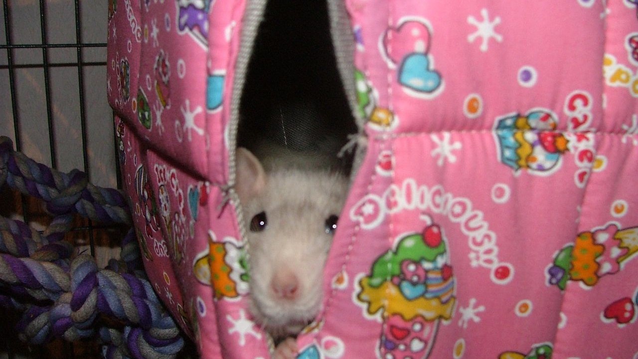 DSCF5698.JPG