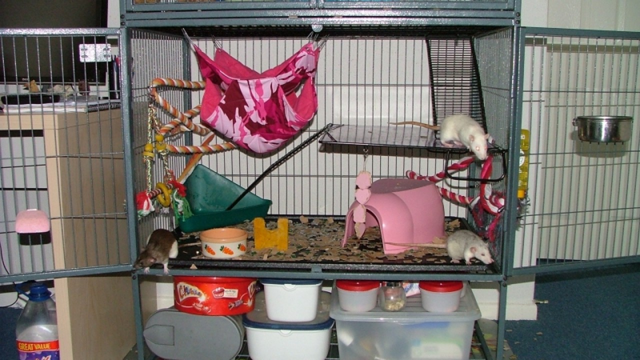 dscf6869.jpg