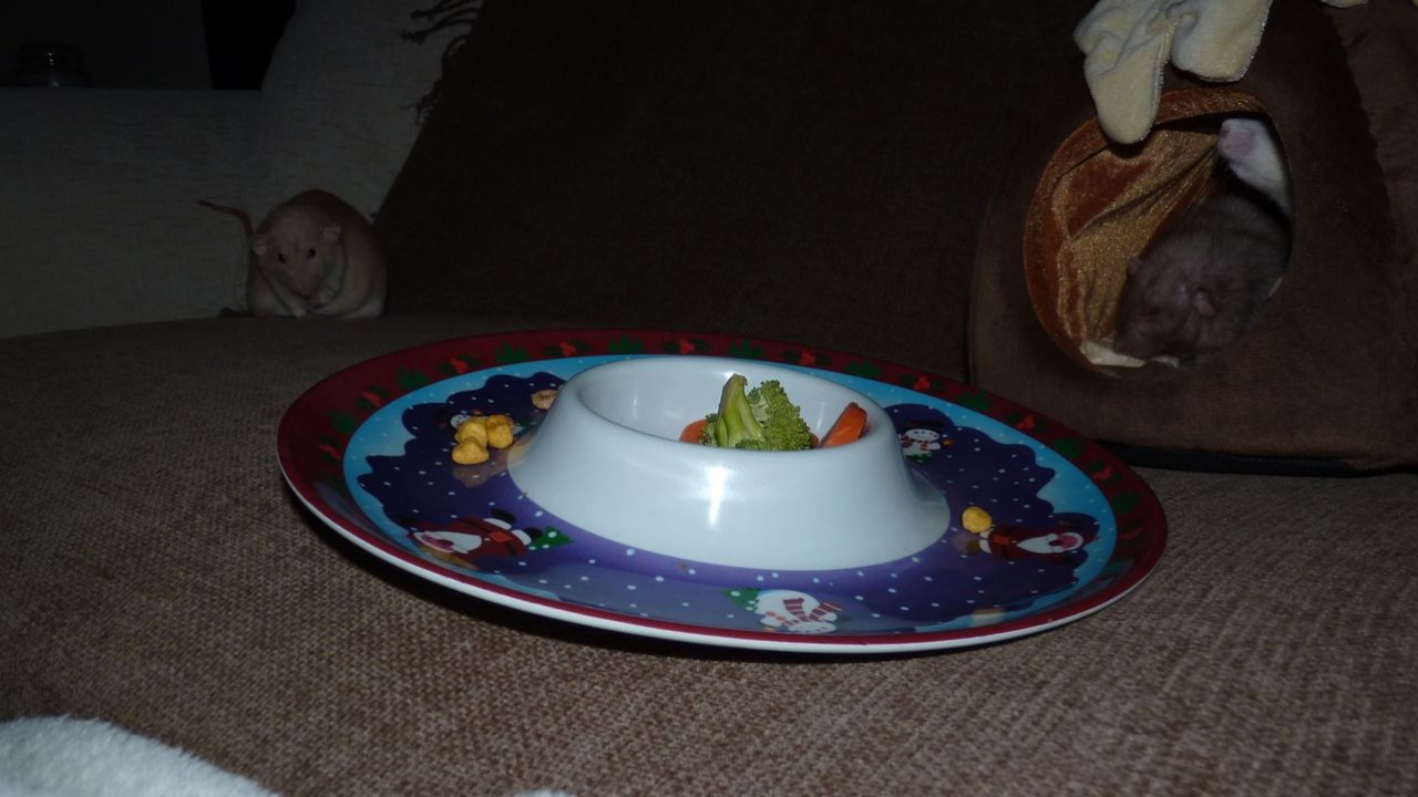 p1010114.jpg