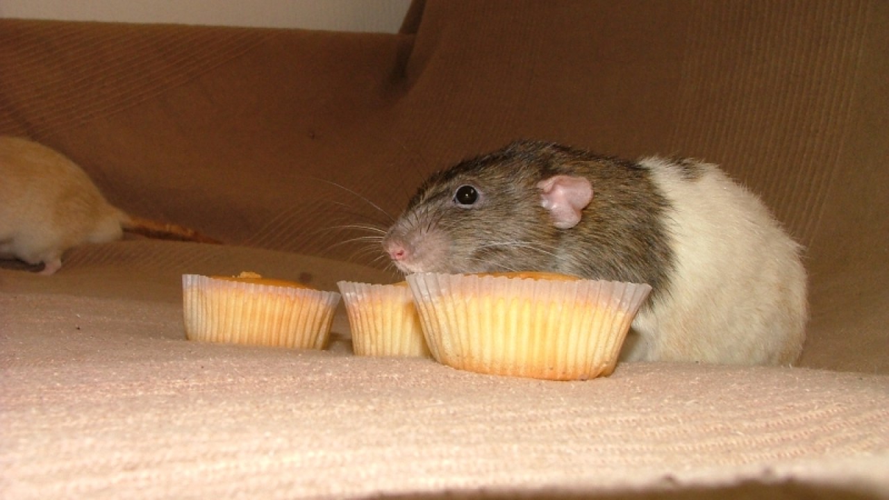 dscf6882.jpg