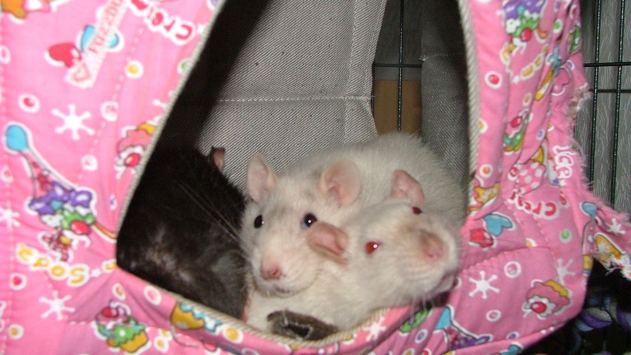 DSCF5671.JPG