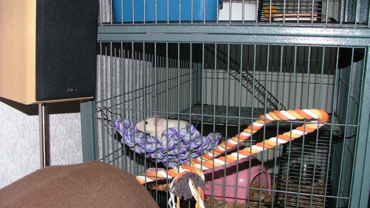 DSCF5575.JPG