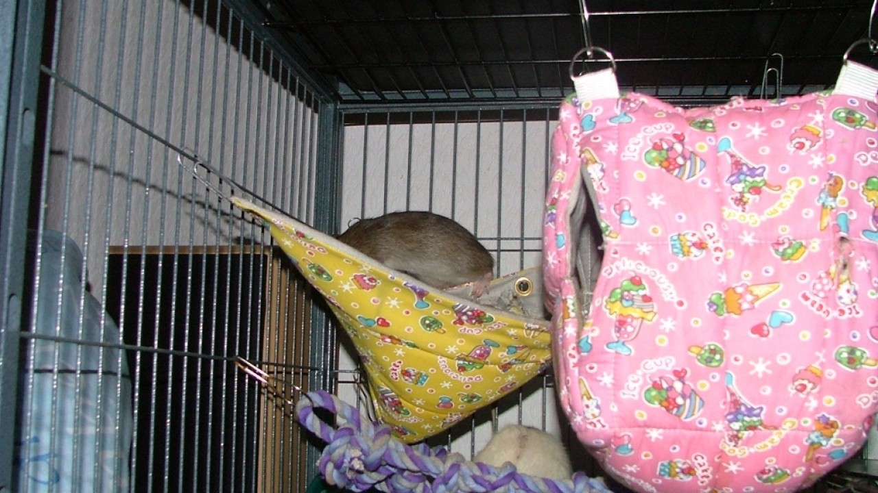 dscf5814.jpg