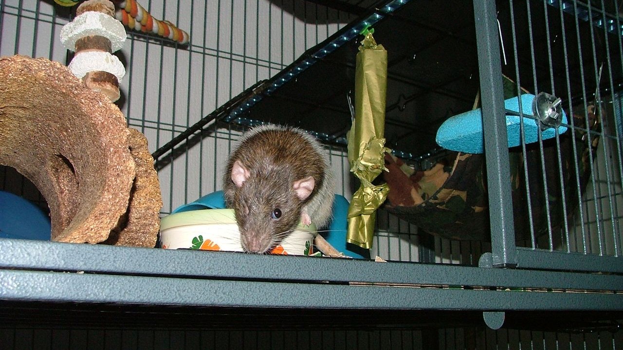 DSCF6750.JPG