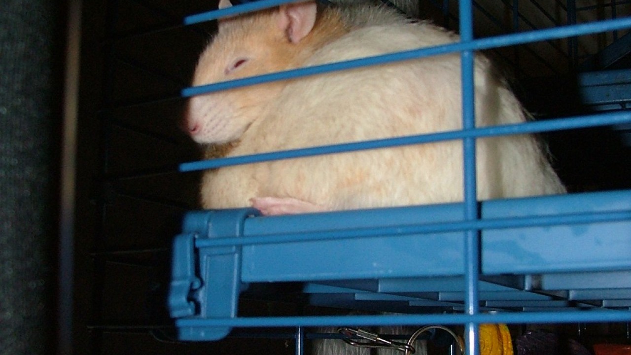 DSCF3779.JPG