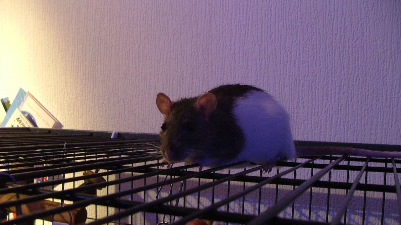 DSCF6699.JPG