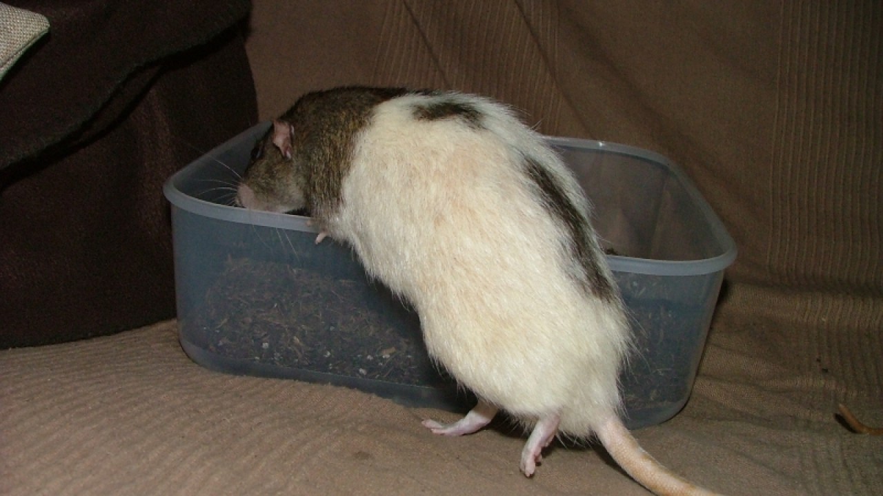 dscf6725.jpg