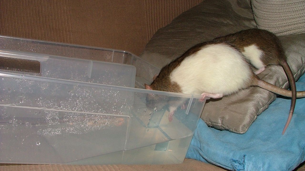 DSCF6660.JPG