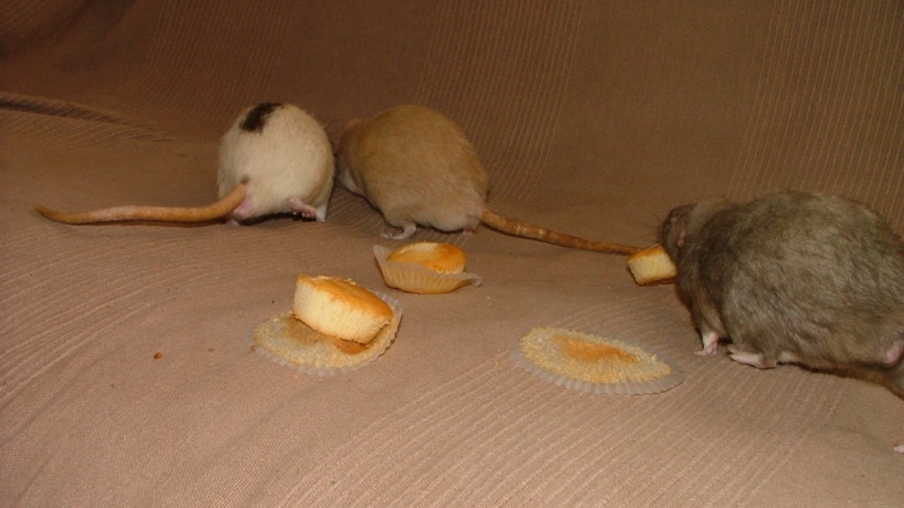 dscf6887.jpg