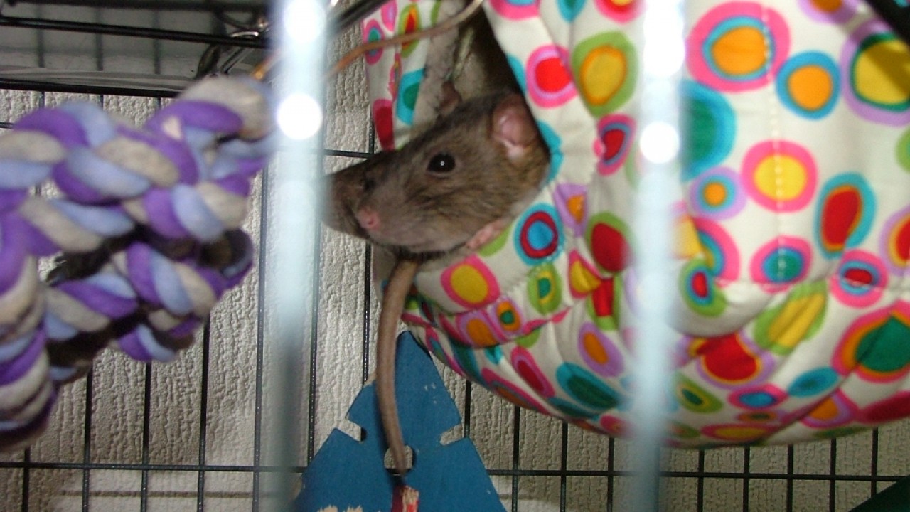 dscf6333.jpg