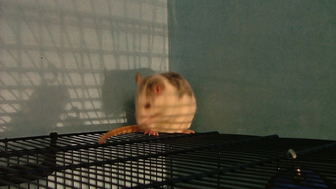 DSCF1540.JPG